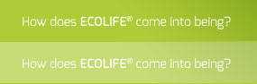 How does ECOLIFE® com into being?